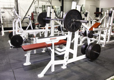 Fortis Bench Press